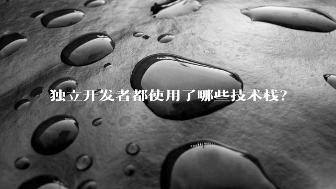 独立开发者都使用了哪些技术栈？