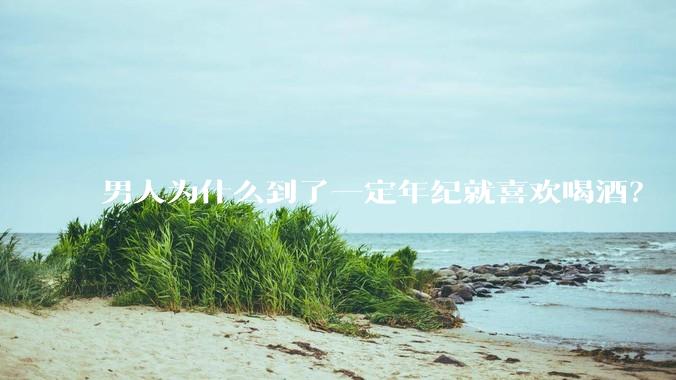 男人为什么到了一定年纪就喜欢喝酒？
